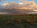 Picture Title - Galisteo, New Mexico