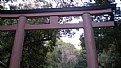 Picture Title - tori gate in japan 