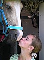 Picture Title - Love for a Horse