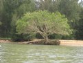 Picture Title - Steady life