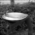 Picture Title - Drinking Fountain