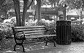 Picture Title - Park Bench