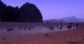 Picture Title - Wadi Rum/5