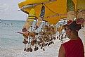 Picture Title - dealer looking at the sea