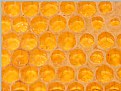 Picture Title - Honeycombs