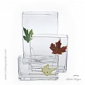 Picture Title - glass and leaves