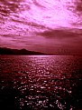 Picture Title - purple sky
