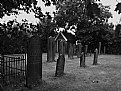 Picture Title - Jewish Cemetery