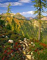 Picture Title - Heather Pass Trail