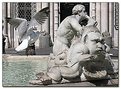 Picture Title - A Seagull in Piazza Navona