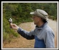 Picture Title - Self Feeding Gray Jay