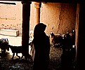 Picture Title - Al-Diriyah  1982