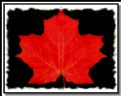Picture Title - Canadian Autumn