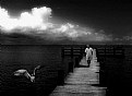 Picture Title - wooden jetty