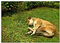 Picture Title - sleeping in the street...