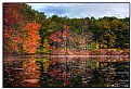 Picture Title - Walden Pond