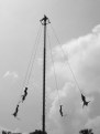 Picture Title - Voladores de Papantla