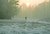Walk in winter