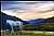 horse (resubmit)
