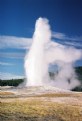 Picture Title - Old Faithful