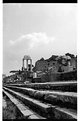 Picture Title - The Roman Forum