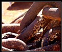 Picture Title - Chains