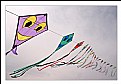 Picture Title - Kite colours 1