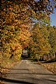 Picture Title - Fall Lane