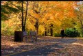 Picture Title - An Autumn Walk