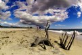 Picture Title - Moonstone Beach