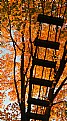 Picture Title - Free Falling #8: The Stairway to Heaven