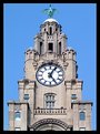 Picture Title - Royal Liver Building