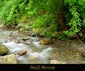 Picture Title - Small Stream