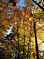 Picture Title - Feuillages automne