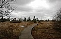 Picture Title - cloudy and cold