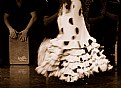 Picture Title - Flamenco2