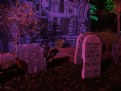 Picture Title - Halloween House