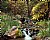 Ramsey Canyon Stream