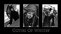 Picture Title - Goths Of Whitby