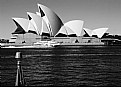 Picture Title - Sydney Opera House   1986