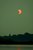 solar eclipse