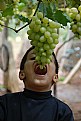 Picture Title - Sour grapes?