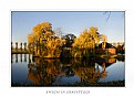 Picture Title - Autumn Reflections