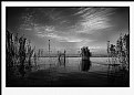 Picture Title - Lake Albufera (Valencia)