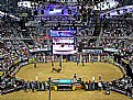 Picture Title - Rodeo