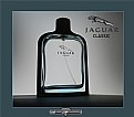 Picture Title - Jaguar Classic