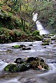 Picture Title - Dolgoch Falls