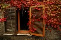 Picture Title - autumn time_11