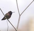 Picture Title - Hanging out!
