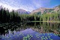 Picture Title - Nymph Lake  (S182)